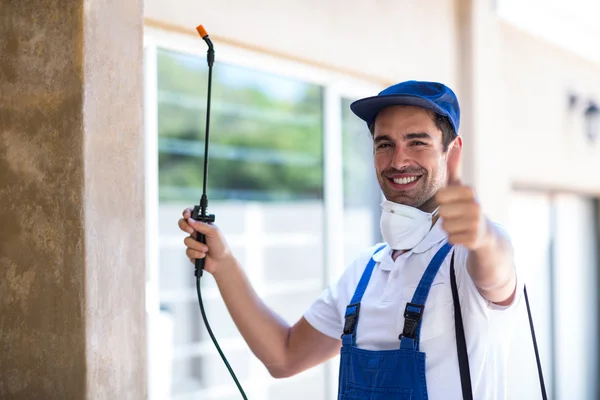 Pflugerville Wasp Removal