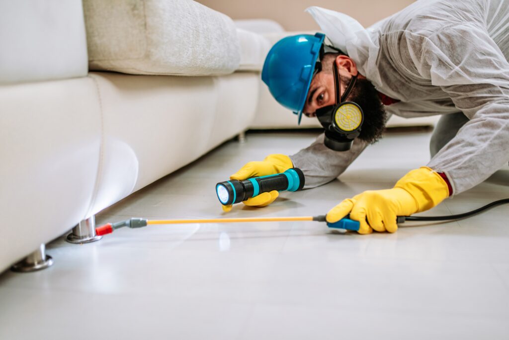 Pflugerville Termite Control