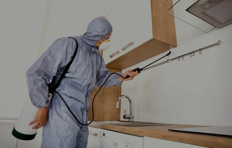 Pflugerville pest managment